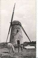 OYE PLAGE - Le Vieux Moulin - MOULIN A VENT - Oye Plage