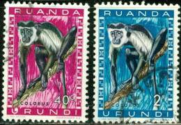 RUANDA URUNDI, 1961, FAUNA, ANIMALI, SCIMMIE, PROTECTED ANIMALS, FRANCOBOLLI USATI, Scott 139,143 - Nuevos