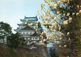 CPSM Japon-Nagoya Castle-Fleur-Magnolia   L1145 - Nagoya