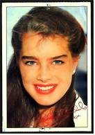 Alte Repro Autogrammkarte  -  Brooke Shields  -  Ca. 1982 - Autogramme