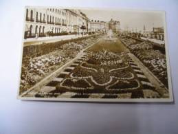 EL- THE CARPET GARDENS AND ILLUMINATED FOUNTAIN. - Eastbourne