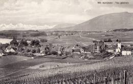 SUISSE - AUVERNIER - Vue Générale - Auvernier