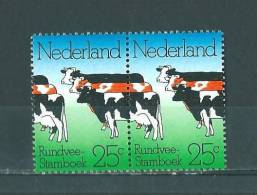 Pays-Bas: 1003 En Paire **  Bovins - Vaches