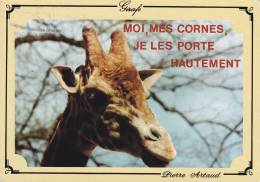 CPM GIRAFE MOI MES CORNES JE LES PORTE HAUTEMENT - Giraffe