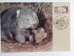30/832    CP     AUSTRALIE - Rodents