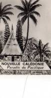 Nouvelle Caledonie Creation Miro, Illustrateur - Neukaledonien