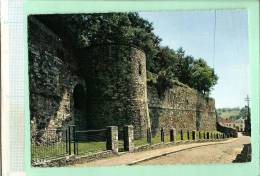 BINCHE (Belgique Wallonie Hainaut) Les Remparts XII° Siècle (voir Détails Scan) MEE410 - Binche