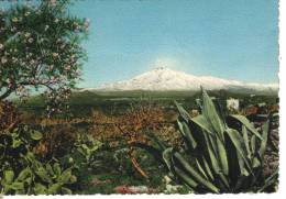 Cartoline Vulcani-l'etna - Altri & Non Classificati