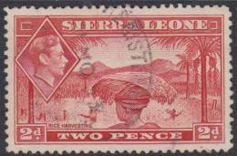 SIERRA LEONE 1938 2d Scarlet KGVI SG 191a U XQ172 - Sierra Leone (...-1960)