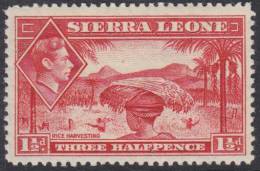 SIERRA LEONE 1938 1 1/2d KGVI SG 190 HM XQ171 - Sierra Leone (...-1960)