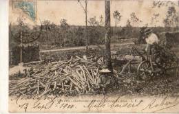 Côted'Or   21   Travail Du Bois   Charbonniers En Forêt  Ecorçage Du Chêne - Other & Unclassified