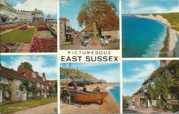 PICTURESQUE EAST SUSSEX  ( Voir Verso ) - Eastbourne