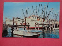 FL - Florida > Fort Myers  Part Of Shrimp Fleet - ---- - -  Early Chrome    -- Ref 740 - Fort Myers