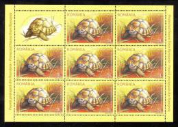 Protected Fauna 2009 Greek Tortoise,Turtle M/s MNH + Labels. - Tortues