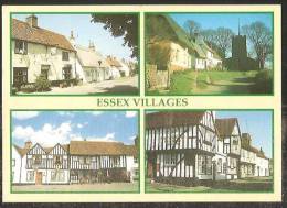 ESSEX VILLAGES Pleshey Castle Hedingham Wendens Ambo High Easter - Other & Unclassified