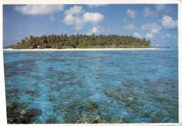 (500) Maldives - Resort  Island - Maldivas