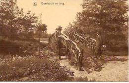 Kapellen, Boszicht En Brug - Kapellen