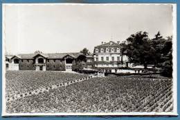 33 - PAUILLAC --  Château Pontet Canet - 1950 - 60 - Pauillac