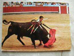 Corrida De Toros - Bull Fights - Course De Taureaux   D84602 - Tauri