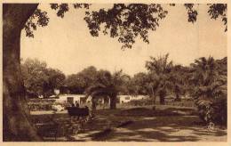 BAMAKO Le Jardin Zoologique - Malí