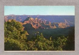 33624     Stati  Uniti,  Arizona -  Grand  Canyon  National  Park,  VG  1973 - Grand Canyon