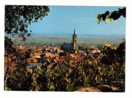 Dambach La Ville: Village Pittoresque Sur La Route Du Vin (12-4756) - Dambach-la-ville