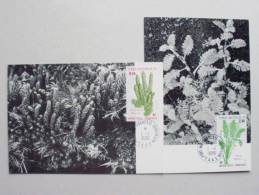 Französische Süd- Und Antarktisgebiete TAAF 214/5 Maximumkarte MK/MC, Cotula Plumosa U. Lycopodium Saururus (Bärlappgew. - Cartas & Documentos