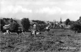 WILLERZIE PANORAMA - Sonstige & Ohne Zuordnung