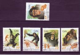 Cuba YV 3713/7 O 1998 Chimpanzés - Chimpancés