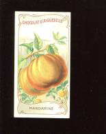 AIGUEBELLE CHROMO DIDACTIQUE FRUIT MANDARINE AFRIQUE ESPAGNE  TEXTE EXPLICATIF AU DOS - Aiguebelle