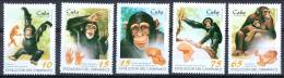 Cuba 1996 Evolution Of The Chimpanzee MNH** - Lot. 1372 - Schimpansen