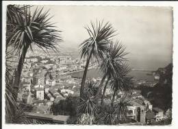 MONTE CARLO ( MONACO ) , Vue Prise Du Jardin Exotique , 1950 - La Condamine