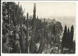 MONACO , Les Jardins Exotiques , Vue Sur Le Rocher De Monaco - Exotischer Garten