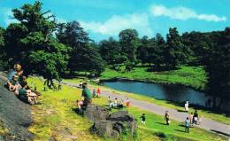 BRADGATE PARK - LEICESTER - Animation Avec Nombreux Enfants - TBE, Carte Neuve Petit Format, 2 Scans - Leicester