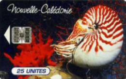 New Caledonia - NC-038, Nautile De L'aquarium, 1/96, 120000ex, Used - Nouvelle-Calédonie