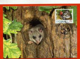 CARTE MAXIMUM LITUANIE LOIR GRIS - Rodents