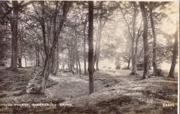 BR39829 Epring Forest Ambresbury Banks     2 Scans - Other & Unclassified
