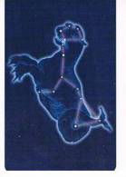 GERMANIA (GERMANY) - DEUTSCHE TELEKOM (CHIP) - A 19 2003 CONSTELLATIONS: CETUS (TIRAGE 6000) - USED ° - RIF. 5793 - Astronomy