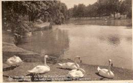 IXELLES- PLACE FLAGEY -LES ETANGS-cygnes - Ixelles - Elsene