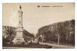Pleumartin Monument Aux Morts  1914-1918 - Pleumartin