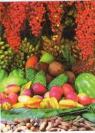 Lote PEP342, Colombia, Postal, Postcard, Antioquia, Venta De Frutas, Fruits - Colombia