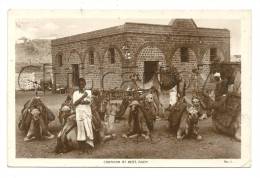 Aden Ou عدن Adan (Yemen) :  Caravan At Rest En 1910 (lively). - Yemen