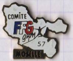 DEPARTEMENT MOSELLE SPORT GYM COMITE FFG 57 - Gymnastics