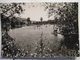 Carte Très Peu Courante - 60 - Attichy - Vue Sur L'Etang - Scan Recto-verso - Attichy