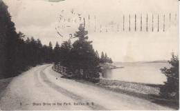 Shore Drive In The Park, Halifax, N.S. Postmark Maine 1907 - Halifax
