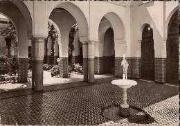 Paris-institut Musulman-mosquée De Paris-petit Patio Sur Cour D'honneur-cpsm - Enseignement, Ecoles Et Universités