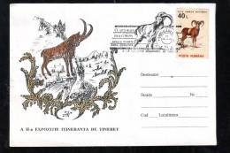 MUFLON,SPECIAL COVER,1994,ROMANIA - Animalez De Caza