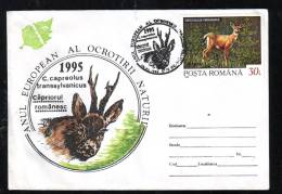 DEER,SPECIAL COVER,1994,ROMANIA - Wild