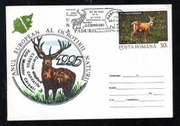 ROMAINIAN DEER,SPECIAL COVER,1995,ROMANIA - Gibier