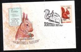 SQUIRREL,SPECIAL COVER,1994,ROMANIA - Rodents
